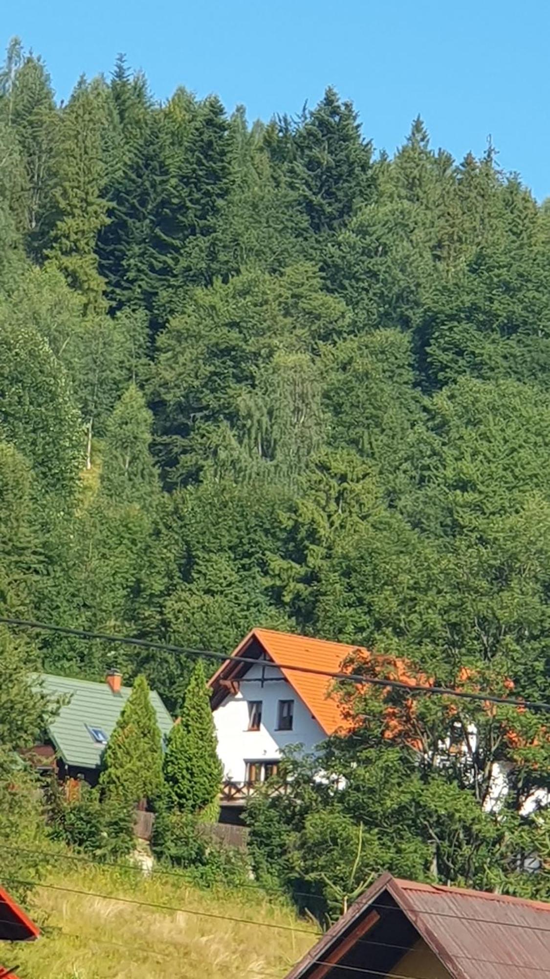 U Eli Корбєлув